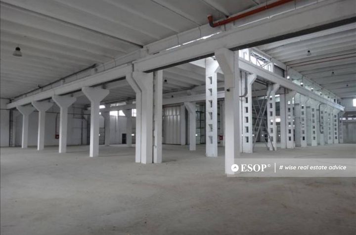 Spațiu industrial de inchiriat BRAGADIRU - Bucuresti anunturi imobiliare Bucuresti
