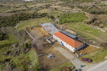 Teren 3697 mp cu depozit 240 mp în Moustheni anunturi imobiliare Grecia