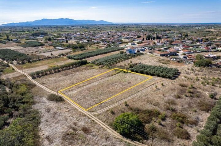 Teren agricol 3.075 mp în Gravouna, front 41 m anunturi imobiliare Grecia