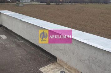 Casa Momentului - Clinceni Ordoreanu anunturi imobiliare Bucuresti