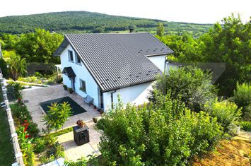 Vilă - 5 camere de vanzare IASI - Iasi anunturi imobiliare Iasi