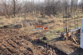 Teren Intravilan de vanzare CETATE - Alba anunturi imobiliare Alba