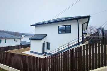 Vilă - 4 camere de vanzare BARNOVA - Iasi anunturi imobiliare Iasi
