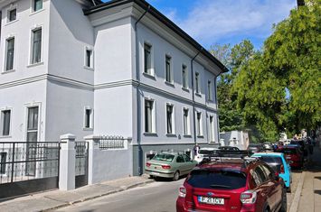 CISMIGIU || STIRBEI VODA VILA INTERBELICA IDEAL CLINICA MEDICALA anunturi imobiliare Bucuresti