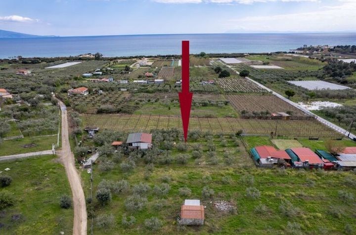 Teren agricol 1.500 mp cu casă 55 mp în Nea Peramos anunturi imobiliare Grecia