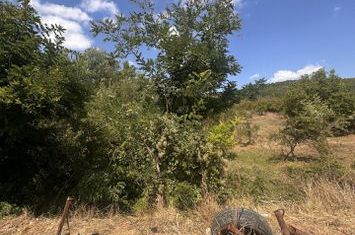 TEREN INTRAVILAN - 2500 MP - Valea Mare- Podgoria anunturi imobiliare Arges