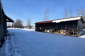 Spațiu industrial de vanzare BAIA MARE - Maramures anunturi imobiliare Maramures