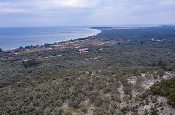 Teren construibil 4.032 mp în Skala Sotiros anunturi imobiliare Grecia