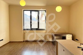 Cladire de birouri cu depozit de inchiriat in Nufarul anunturi imobiliare Bihor