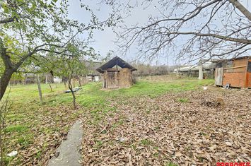 Teren Intravilan de vanzare CENTRAL - Bacau anunturi imobiliare Bacau