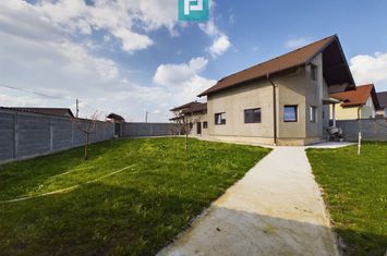 Casă la gri în Livada anunturi imobiliare Arad