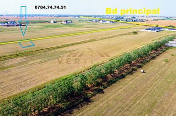 Teren Intravilan de vanzare COMUNA BERCENI - Bucuresti anunturi imobiliare Bucuresti