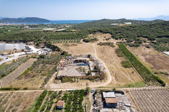 Teren construibil 5.000 mp în Nea Peramos anunturi imobiliare Grecia