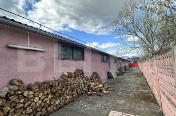 Spațiu industrial de vanzare DEVA - Hunedoara anunturi imobiliare Hunedoara