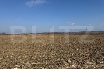 Teren de vanzare ALBA IULIA - Alba anunturi imobiliare Alba