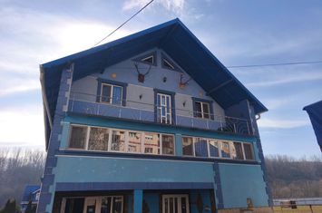 Vilă - 8 camere de vanzare SIRET - Suceava anunturi imobiliare Suceava