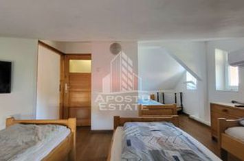 Locatie cazare muncitori,Chisoda(40 persoane) anunturi imobiliare Timis
