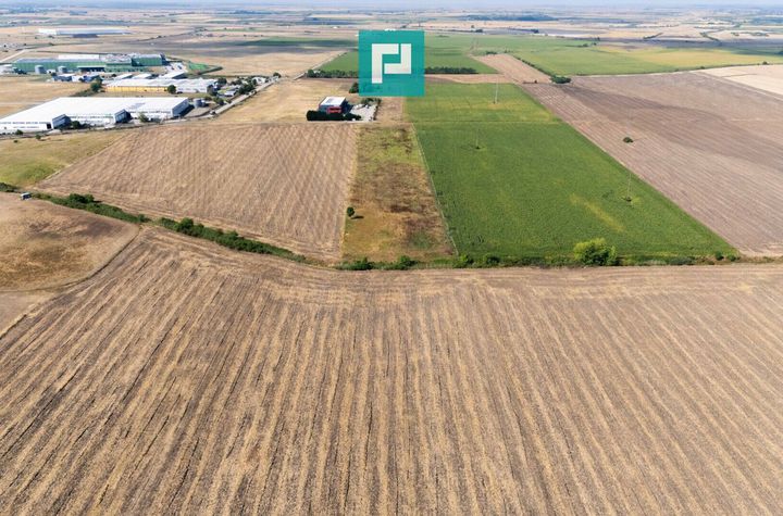 Oportunitate! Teren 4.345 mp – Şagului anunturi imobiliare Timis