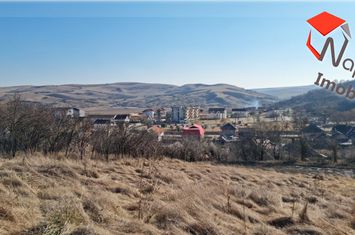 Teren Intravilan de vanzare COJOCNA - Cluj anunturi imobiliare Cluj