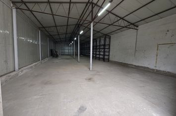Hale cu suprafatade  220 mp si 440 mp zona Ambient anunturi imobiliare Mures