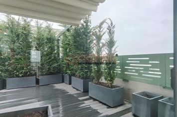 Penthouse 3 camere Terasa Spectaculoasa anunturi imobiliare Bucuresti