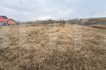 Teren de vanzare BOTOSANI - Botosani anunturi imobiliare Botosani