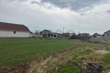 Teren Intravilan de vanzare SANMARTIN  - Bihor anunturi imobiliare Bihor