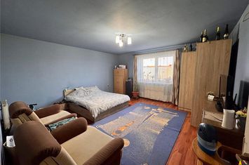 Spațiu comercial de vanzare GHEORGHE DOJA - Mures anunturi imobiliare Mures