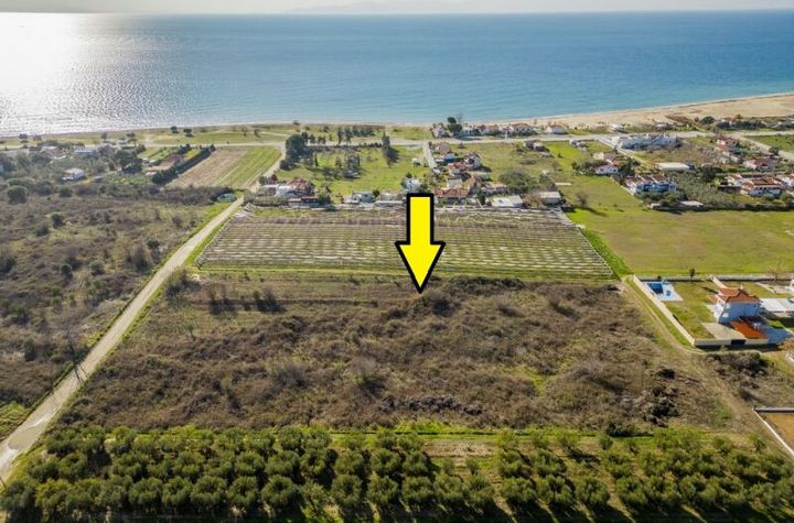 Teren 5.000 mp, Paralia Karianis, 300 m de mare anunturi imobiliare Grecia