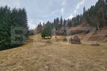 Teren de vanzare SCARISOARA - Alba anunturi imobiliare Alba