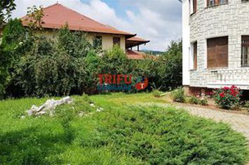 Vilă - 9 camere de vanzare CETATE - Alba anunturi imobiliare Alba