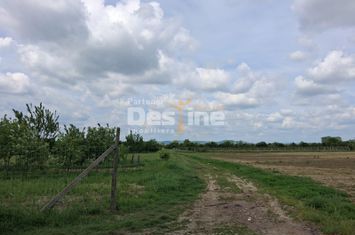 Teren de vanzare MARACINENI - Arges anunturi imobiliare Arges