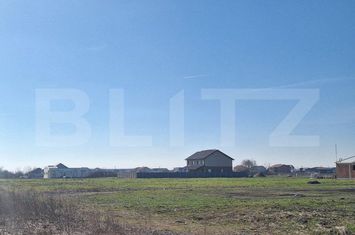 Teren de vanzare SACALAZ - Timis anunturi imobiliare Timis