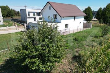 Vilă - 5 camere de vanzare IASI - Iasi anunturi imobiliare Iasi