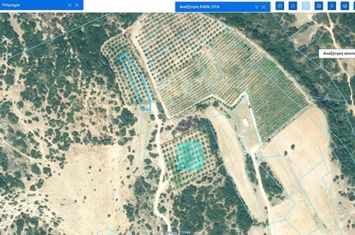 Teren agricol 2.313 mp cu măslini — Gerontas anunturi imobiliare Grecia