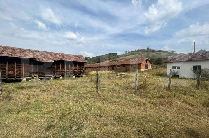 Teren de vanzare FILIASI - Dolj anunturi imobiliare Dolj