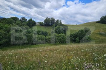 Teren de vanzare CAMPENI - Alba anunturi imobiliare Alba