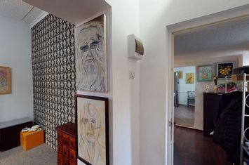 Proprietate speciala Vila zona Centrala anunturi imobiliare Iasi