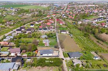 Teren Balciu / Strada Viilor anunturi imobiliare Iasi