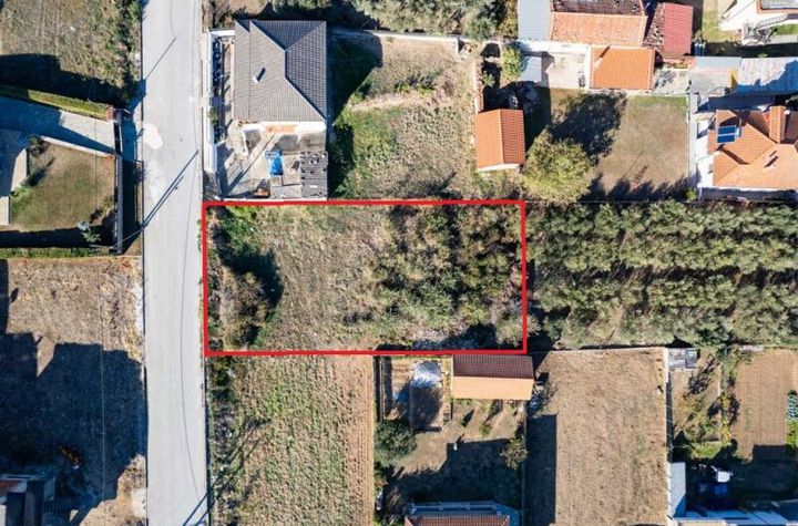 Teren construibil 800 mp în Agios Christoforos anunturi imobiliare Grecia