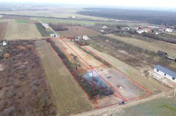 Teren Intravilan de vanzare VIILE SATU MARE - Satu Mare anunturi imobiliare Satu Mare