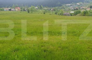 Teren de vanzare VATRA DORNEI - Suceava anunturi imobiliare Suceava