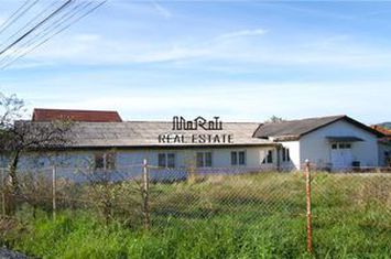 Spațiu industrial de vanzare BRAD - Hunedoara anunturi imobiliare Hunedoara