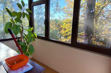 Apartament 2 camere de vanzare IASI - Iasi anunturi imobiliare Iasi