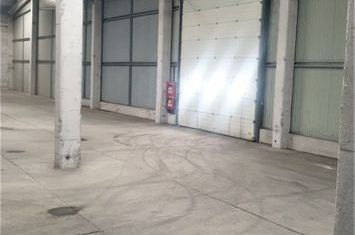 Hală Exterior Nord 476mp anunturi imobiliare Timis