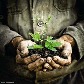 Grija față de mediu devine un obiectiv prioritar pe segmentul de grădină din magazinele Hornbach
