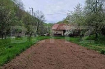 Casă - 3 camere de vanzare ZLATNA - Alba anunturi imobiliare Alba