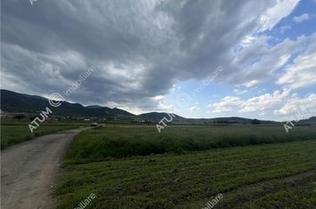 Teren Intravilan de vanzare BOITA - Sibiu anunturi imobiliare Sibiu
