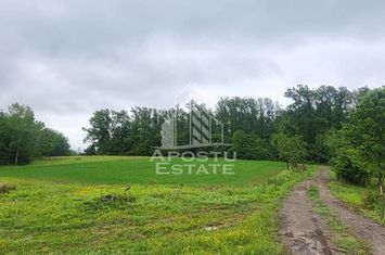 Teren mixt de 8.600 mp, ideal pentru investitie, Cuied anunturi imobiliare Arad