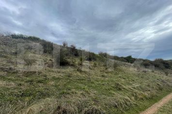 Teren de vanzare DRAMBAR - Alba anunturi imobiliare Alba